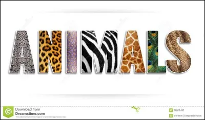 Lequel de mes animaux aimes-tu le plus ?