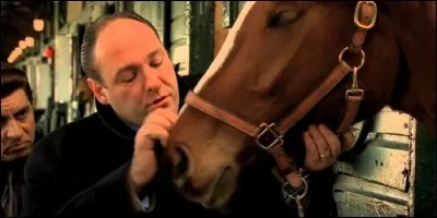 Quel est le nom de ce cheval dans "Les Soprano" ?
