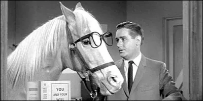 Quelle est la particularité de Monsieur Ed dans la série du même nom ?