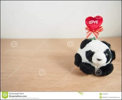 Quelle image de pandas aimes-tu le plus ?