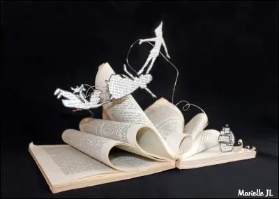 Tu vas à la bibliothèque. Quel livre choisis-tu ?