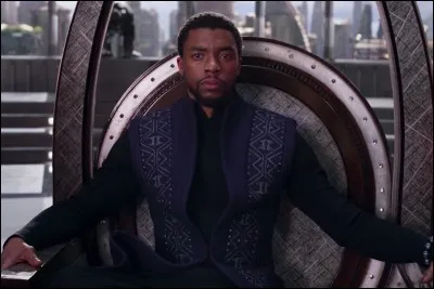 Quel est le nom de Black Panther ?