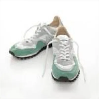 Voulez-vous que votre chien soit sportif ?