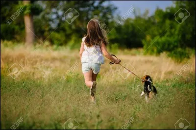 Combien de temps faut-il sortir son chien par jour ?