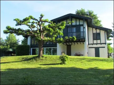 Le mieux pour avoir un chien est de vivre en...