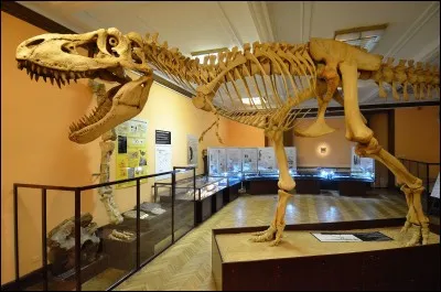 Quel fut le plus grand prédateur de tous les temps ?