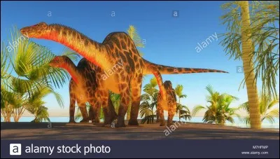 Quel était le plus grand Sauropode ?