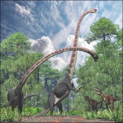 Quel était le dinosaure au plus long cou ?