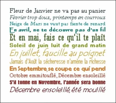 Sélectionne les expressions ou proverbes qui existent.