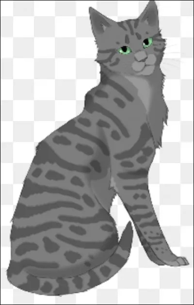 Par qui a été assassinée Plume Blanche ?