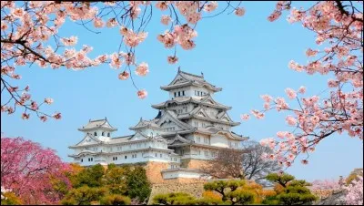 On débuta la construction de ce château japonais en 1610. Il a été très endommagé pendant la Seconde Guerre mondiale.
Jusqu'en 1930, il faisait partie de la maison impériale, il passa ensuite à la ville dont il porte le nom.