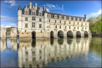 Élégant château de la Renaissance, qui doit beaucoup de son architecture aux grandes dames de l'histoire. Catherine de Médicis y fera édifier la galerie à deux étages sur le pont qui enjambe le Cher.