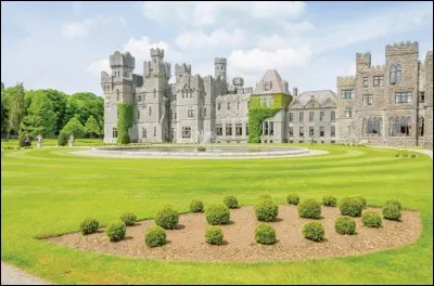 Imposant château médiéval irlandais logé dans un environnement de prestige.