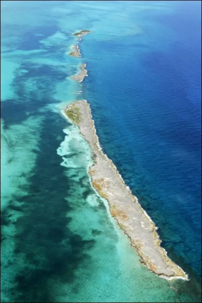 Quel est le nombre approximatif d'îles et d'îlots qui composent les Bahamas ?