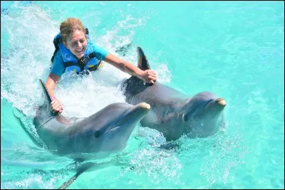 Pour quelle raison le Dolphin Encounters a-t-il été créé dans l'île privée Blue Lagoon Island ?