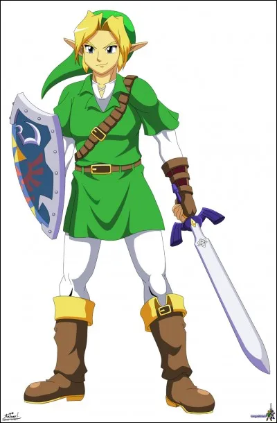 Attention, question extrêmement difficile ! 

Comment s'appelle le héros du jeu ?