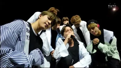 A qui penses-tu le plus ressembler ?