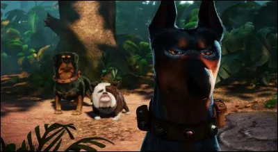 Quelle race de chien n'est pas représentée par Alpha, Gamma et Beta, les trois canidés agressifs de « Là-haut » ?