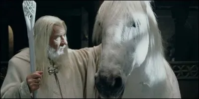 Comment se nomme le cheval de Gandalf dans "Le Seigneur des Anneaux" ?