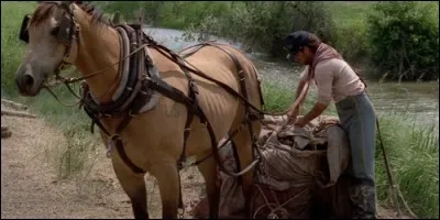 Dans quel film voit-on Kevin Costner monter sur Cisco ?