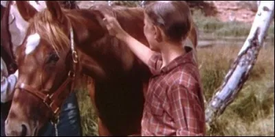 Comment se prénomme le jeune garçon qui se prend d'amitié pour Flicka dans "Mon amie Flicka" ?