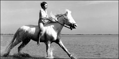 Quel est le titre de ce film ?