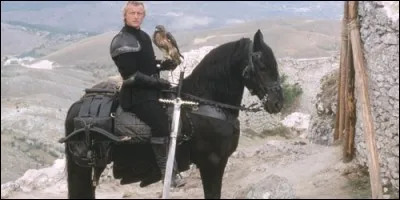 Dans "Ladyhawke", ce cheval se nomme :