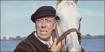 Dans "Heureux qui comme Ulysse", comment se prénomme l'homme qui tente de sauver son cheval de la dure réalité du monde des corridas ?