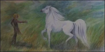 Felaróf est le cheval de :
