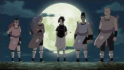 Pour quelle raison Sasuke a-t-il quitté Konoha ?