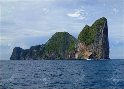 En Asie, quel est le synonyme du chat ?