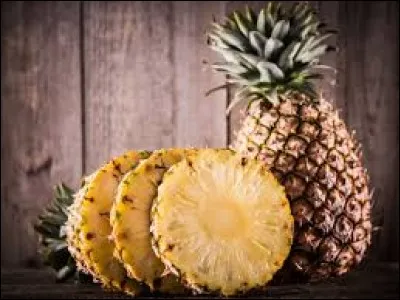 D'où est originaire l'ananas ?