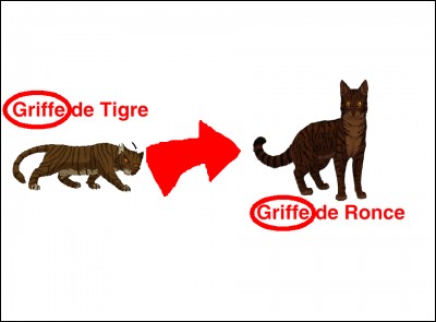 Quel est le rapport entre Griffe de Tigre et Griffe de Ronce (Niveau génétique) ?