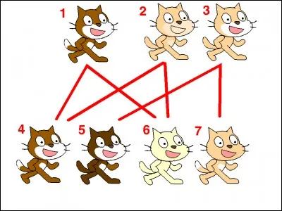 Que représente cette image ?