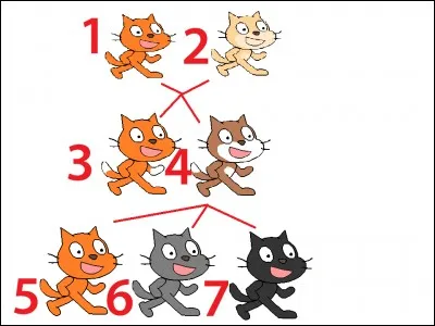 Que représente cette image ?