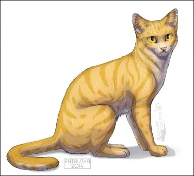 Pourquoi Pelage d'Or est-elle de cette couleur ?