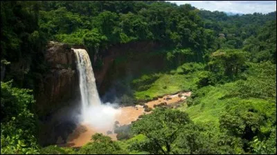 Quel Disney a été inspiré par ce point de vue qui se trouve en Afrique de l'Ouest ?