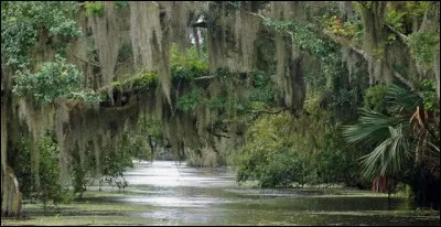 Quel Disney a été inspiré par le bayou de Louisiane ?