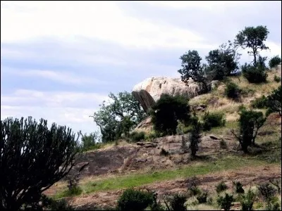 Dans quel pays se situe le site Serengeti, lequel a inspiré le Disney « Le Roi lion » ?