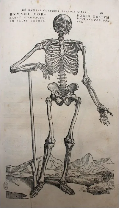 Comment s'intitule le magnifique ouvrage illustré d'anatomie d'André Vésale, paru en 1543 ?