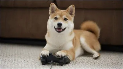 De quoi a besoin une espèce pour vivre ?