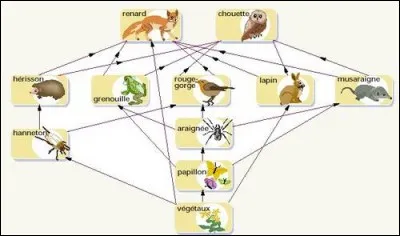 Chacun des éléments d'un milieu de vie est en équilibre.