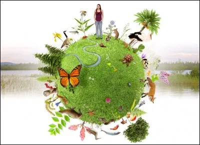 Il faut préserver la biodiversité car ...