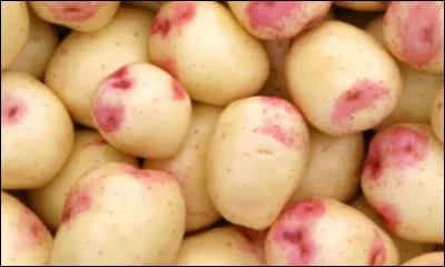 Quel est ce légume ?