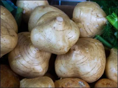 Quel est ce légume ?