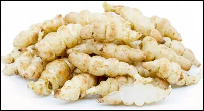 Quel est ce légume ?