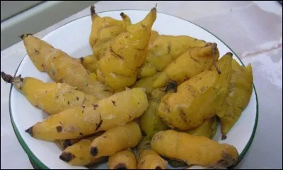 Quel est ce légume ?