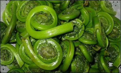 Quel est ce légume ?