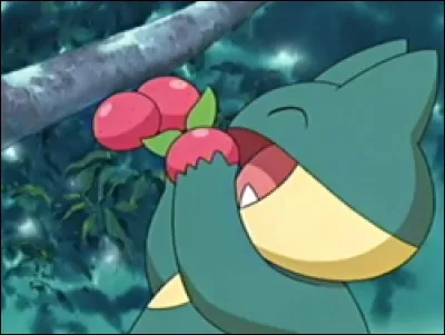 Quel est ce Pokémon ?