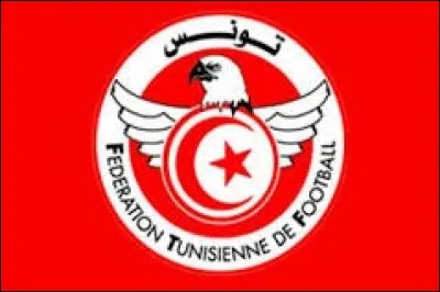 [Tunisie] Comment appelle-t-on le massif mouvement populaire survenu en Tunisie, fin 2010 à début 2011, ayant abouti au départ du président en poste de l'époque ?